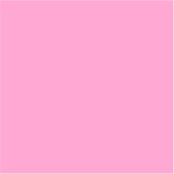  Caneta Esferográfica CLARE. 