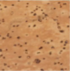 Chaveiro em Cortiça personalizado 95051
MILLAU. Chaveiro em cortiça